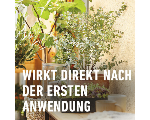 Dekorative Pflanzen auf einem Balkon mit dem Text: Wirkt direkt nach der ersten Anwendung.
