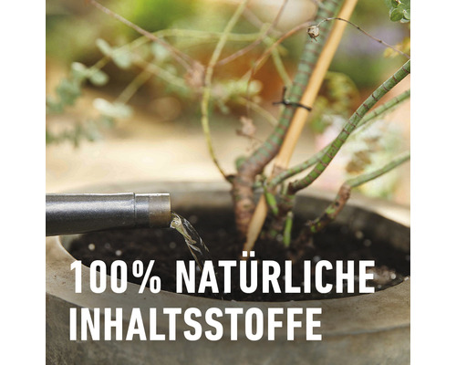 Gießkanne gießt Pflanze mit der Aufschrift 100 Prozent natürliche Inhaltsstoffe.