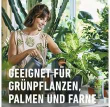 Frau giesst Zimmerpflanze mit Giesskanne, im Hintergrund weitere Pflanzen