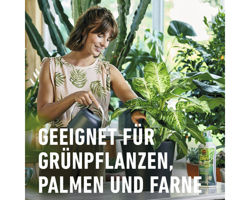 Frau giesst Zimmerpflanze mit Giesskanne, im Hintergrund weitere Pflanzen