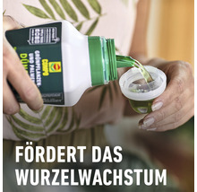 Eine Person gießt Flüssigdünger aus einer Flasche in einen Messbecher zur Förderung des Wurzelwachstums.