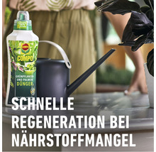 COMPO Grünpflanzen- und Palmendünger neben einer Gießkanne
