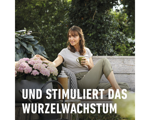 Frau sitzt mit Tasse auf einer Bank im Garten neben Hortensien