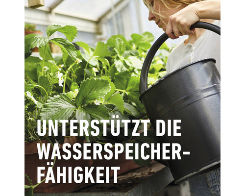 Eine Person gießt Erdbeerpflanzen mit einer Gießkanne. Unterstützt die Wasserspeicherfähigkeit.