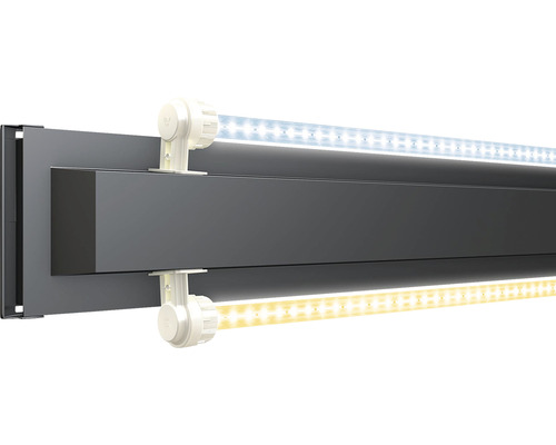Éclairage d''aquarium avec tubes fluorescents LED