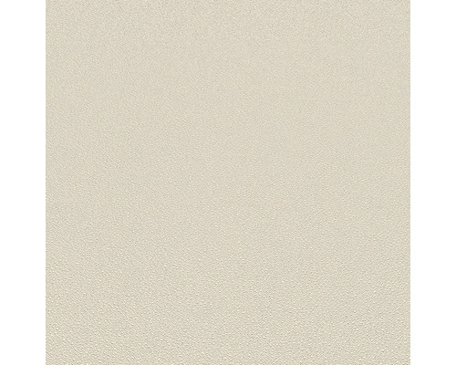 Helle, leicht strukturierte Wandfarbe für Innenräume