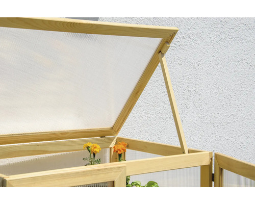 Detailansicht eines Frühbeets mit geöffnetem Holzrahmen und transparenten Wänden zur Anzucht von Pflanzen.