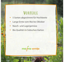 Informationen zu den Vorteilen der Gemüsesorten von Meine Ernte, abgestimmt für Hochbeete, lange Ernte vom Mai bis Oktober, Nasch- und Lagergemüse, Bio Qualität im Karton.