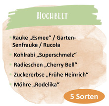 Hochbeet Bepflanzung mit Rucola, Kohlrabi, Radieschen, Zuckererbse und Möhre