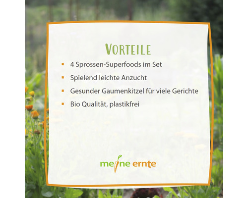Vorteile: 4 Sprossen Superfoods im Set, einfache Anzucht, gesunder Genuss für viele Gerichte, Bio Qualität, plastikfrei