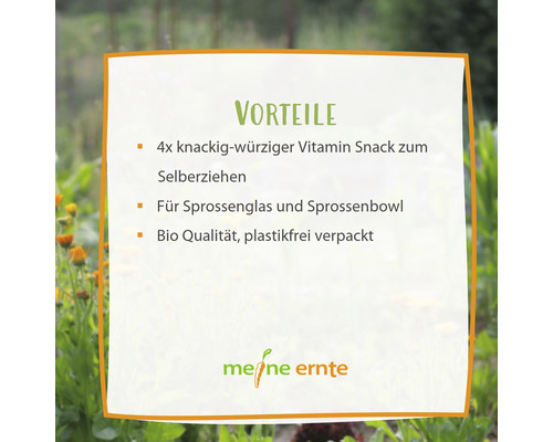 "Avantages : 4x snack vitaminé croquant et épicé à cultiver soi-même, Pour bocal à germes et bol à germes, Qualité bio, emballage sans plastique 