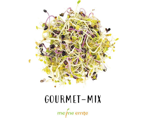 Mélange Gourmet de graines germées de Meine Ernte