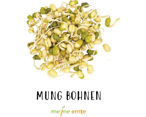 Mungobohnen der Marke Meine Ernte