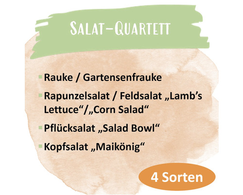 Salat Quartett mit Rauke, Feldsalat, Pflücksalat und Kopfsalat