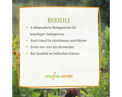 Vorteile: Vier altbewährte Blattgemüse für knackigen Salatgenuss, ideal für Hochbeete und Kästen, Ernte von Juni bis November, Bio Qualität im Karton. Meine Ernte Logo.