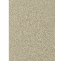 Kunstleder Noblessa Basic taupe 140 cm breit (Meterware)