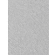 Kunstleder Noblessa Basic silber 140 cm breit (Meterware)