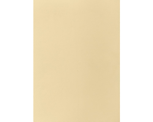 Gros plan de cuir beige