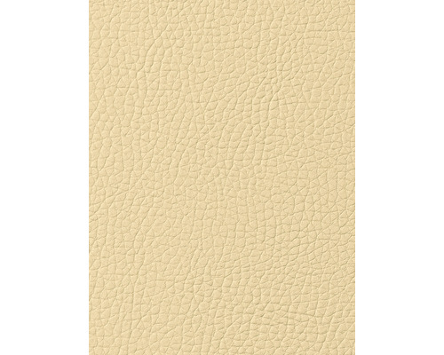 Gros plan sur la texture du cuir