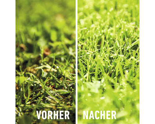 Vorher-nachher Vergleich von Rasen