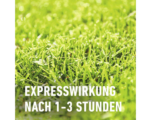 Nahaufnahme von Rasen mit dem Hinweis: Expresswirkung nach 1-3 Stunden.