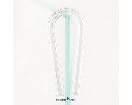 Dennerle Plants Compte-bulles en verre pour aquariums
