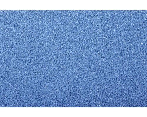 Gros plan d''une éponge de nettoyage bleue