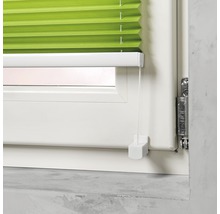 Store plissé de fenêtre vert sur la fenêtre