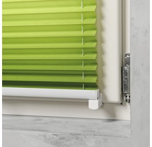 Store plissé vert à la fenêtre