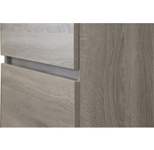 Armoire haute Maxx XL 160 x 35 cm chêne gris