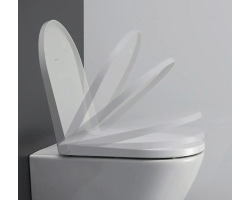 Abattant de WC avec amortisseur sur une toilette