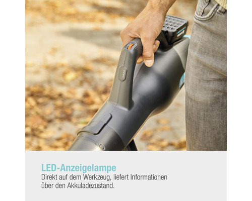 Person hält einen Akku Laubbläser