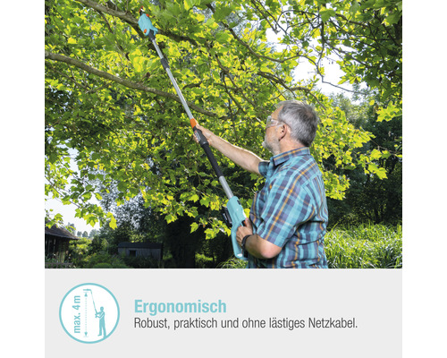 Mann schneidet Baum mit einer Akku-Astsäge