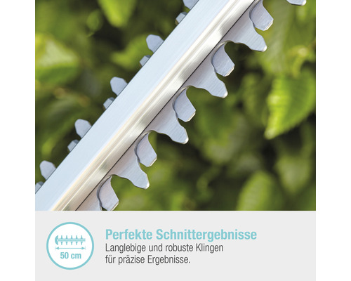 Nahaufnahme der Klingen einer Heckenschere.