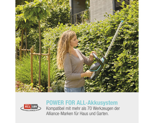 Frau schneidet Hecke mit Akku Heckenschere