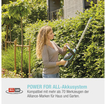 Frau schneidet Hecke mit einer Akku-Heckenschere im Garten