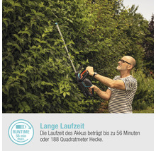 Mann schneidet Hecke mit Akku Heckenschere im Garten