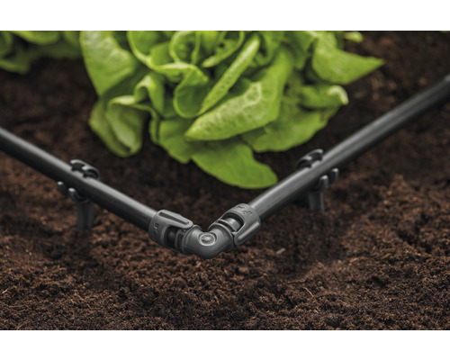 Coude de système d''irrigation avec tuyau goutte à goutte dans un parterre de jardin