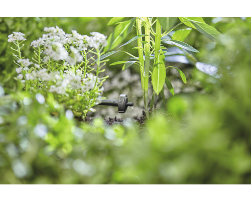 Tropfbewässerung im Garten mit Pflanzen