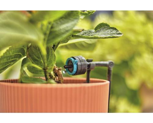 Tropfbewässerung mit einstellbarem Tropfer an Pflanze im Topf