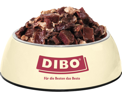 Gamelle remplie de nourriture pour chiens DIBO
