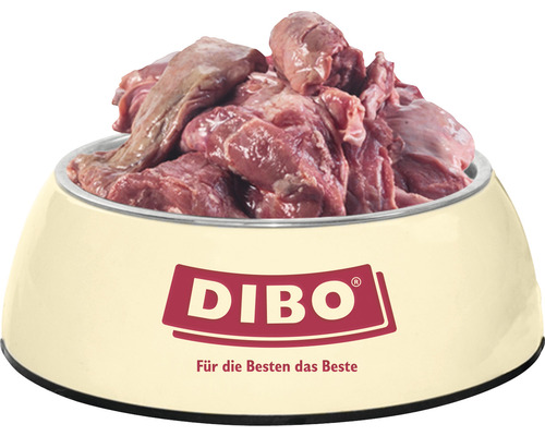Gamelle pour chien remplie de viande crue, Logo Dibo