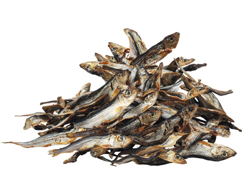 Pile de poissons séchés