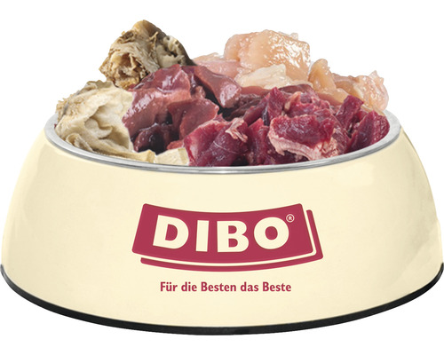 Gamelle pour chien remplie avec le logo Dibo