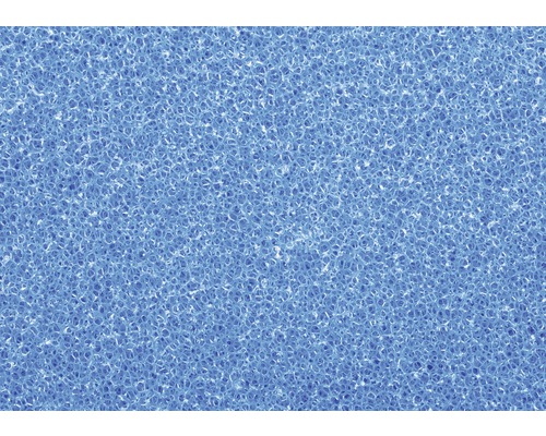 Nahaufnahme eines blauen Schwamms mit poröser Struktur.