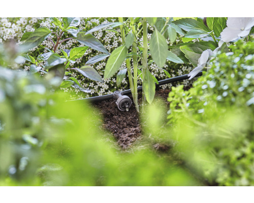 Tropfbewässerungssystem im Einsatz zwischen Pflanzen und Erde