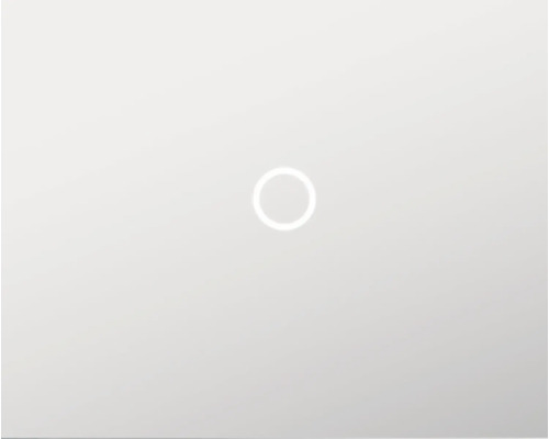 Ladeanimation