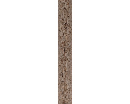 Nahaufnahme eines Bündels von Pflanzfasersträngen.