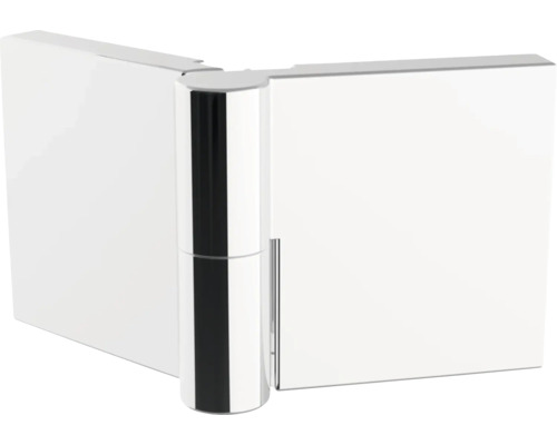 Charnière de porte de douche en métal