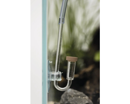 Diffuseur de CO2 pour aquarium avec ventouse